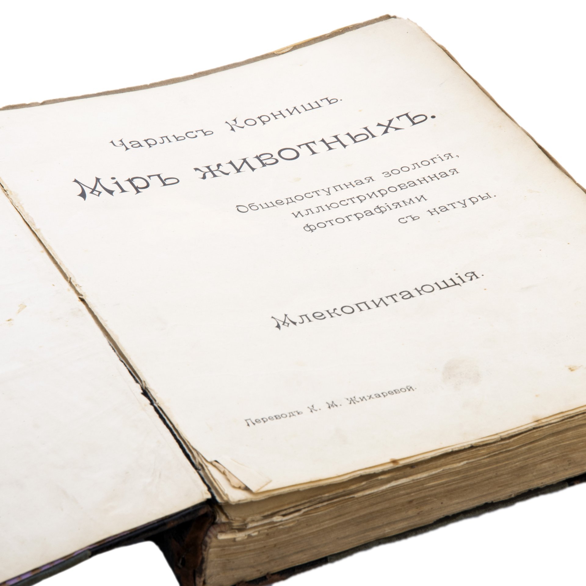 Чарльз Корниш "Мир животных. Общедоступная зоология, иллюстрированная фотографиями с натуры", Типография товарищества И.Д. Сытина