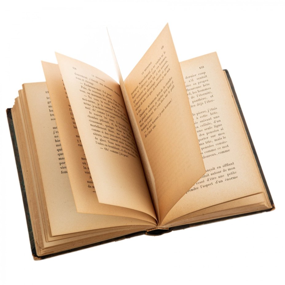 Книга на французском языке "Страх", авт. Леонид Андреев, бумага, печать, Librairie Académique Didier, Франция, 1903 г.
