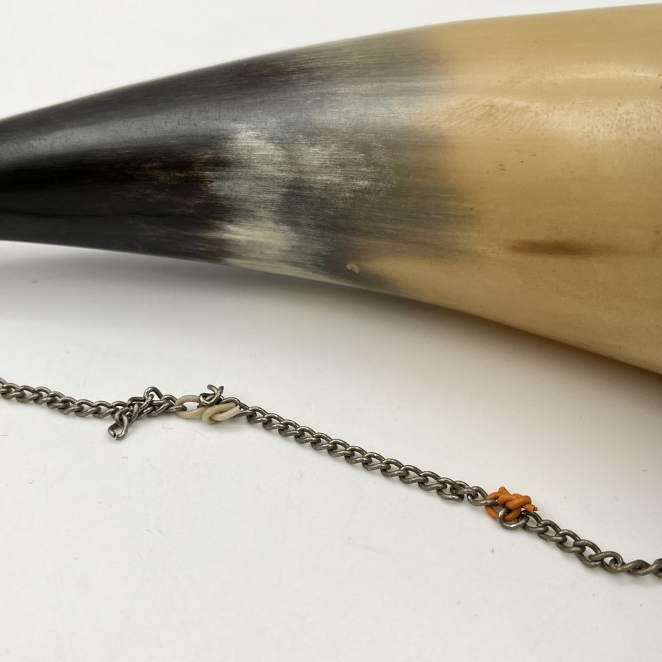 Рог изобилия (кубок для вина), украшенный растительным декором