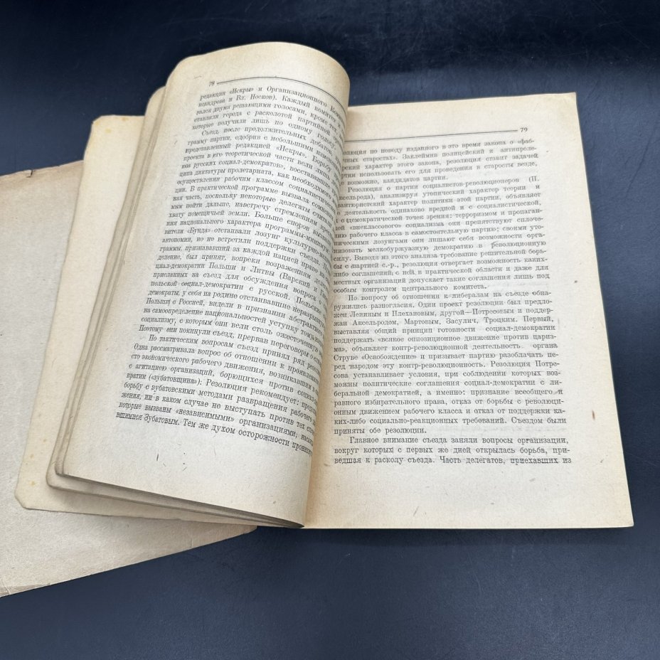 Книга "История российской социал-демократии. Период 1898-1907" Л. Мартов (часть 1)