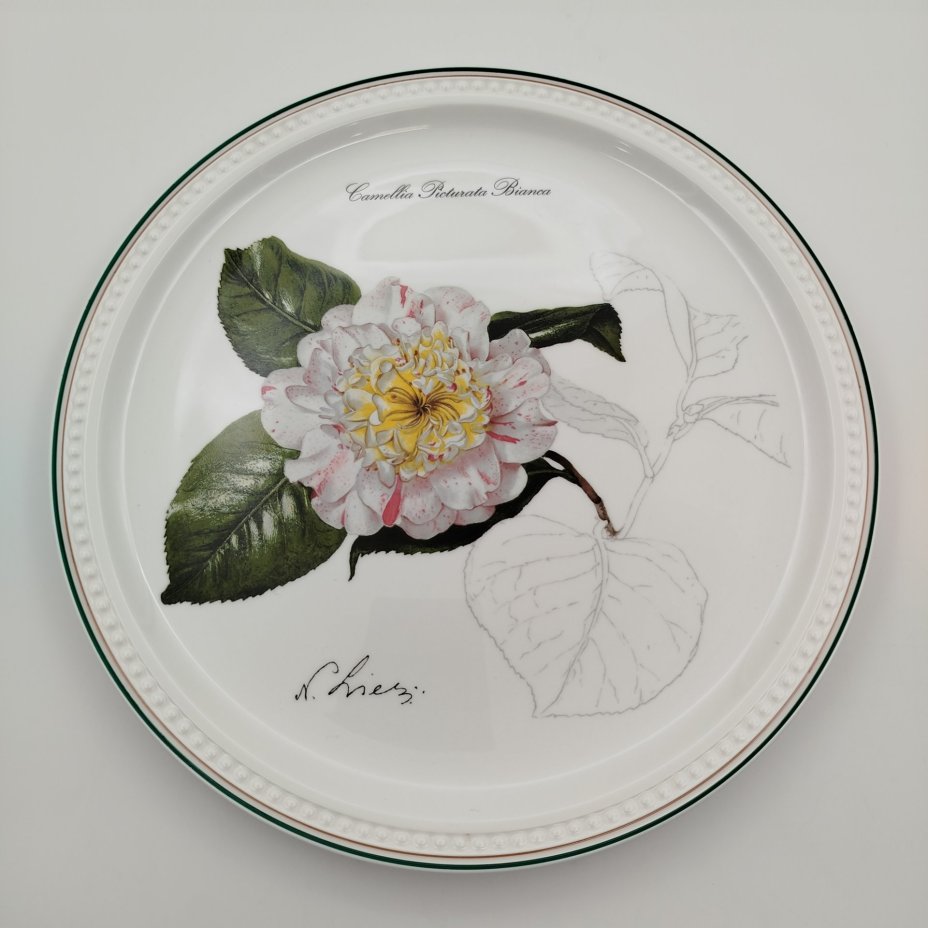 Тарелка декоративная (подвесная) с изображением "Camellia Picturata Bianca" из серии "Камелии", автор Nicolas Liex (Никола Лие), фарфор, деколь, Villeroy & Boch, Люксембург, 1995 г., Villeroy & Boch