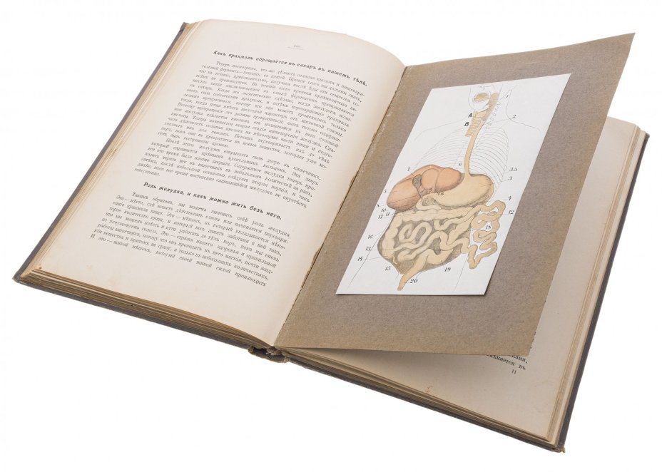 Книга "Детская энциклопедия" (тома 1, 2, 4-9) с иллюстрациями, бумага, печать, типография Товарищества И.Д. Сытина, Москва, 1913-1914 гг., Типография товарищества И.Д. Сытина