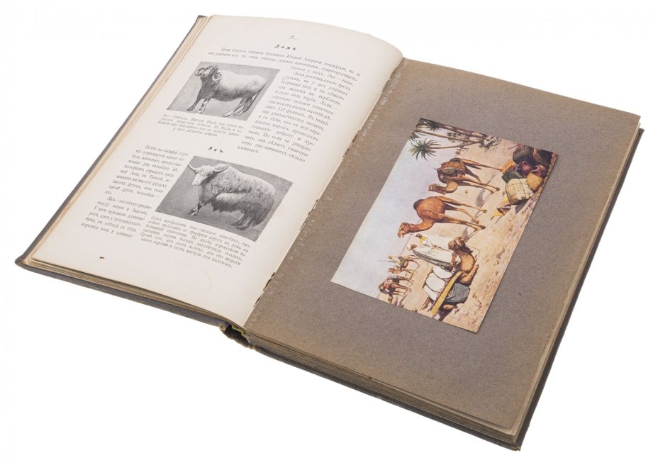 Книга "Детская энциклопедия" (тома 1, 2, 4-9) с иллюстрациями, бумага, печать, типография Товарищества И.Д. Сытина, Москва, 1913-1914 гг., Типография товарищества И.Д. Сытина