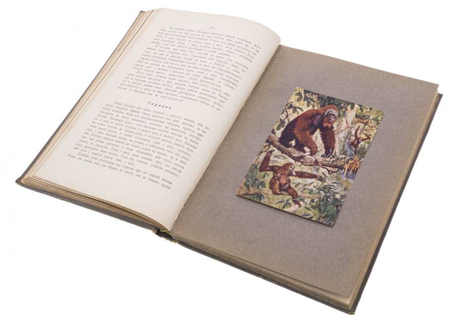 Книга "Детская энциклопедия" (тома 1, 2, 4-9) с иллюстрациями, бумага, печать, типография Товарищества И.Д. Сытина, Москва, 1913-1914 гг., Типография товарищества И.Д. Сытина