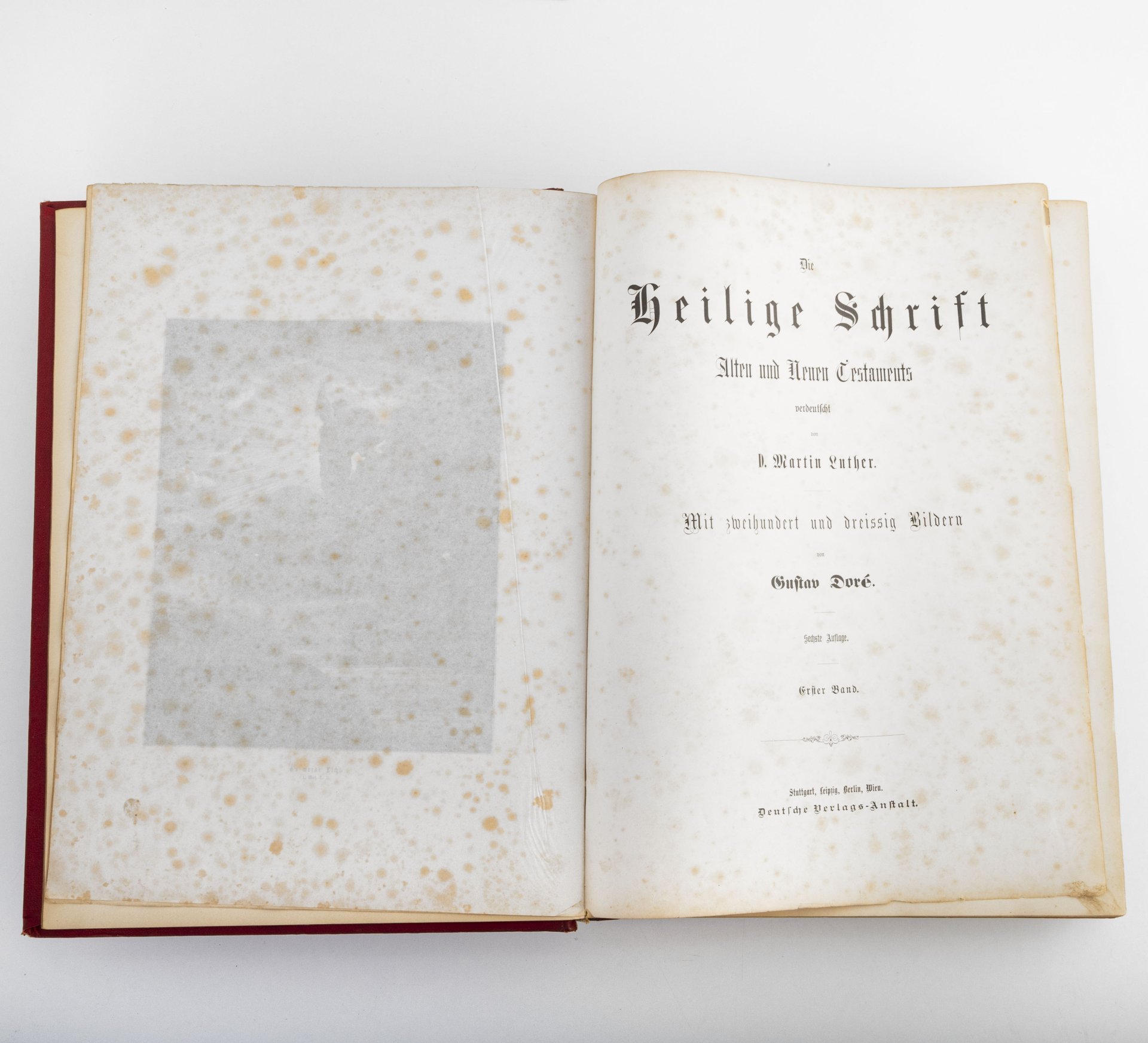 Два тома: Ветхий и Новый завет с иллюстрациями Доре (Die heilige schrift des alten und neuen testaments illustriert von Dore)