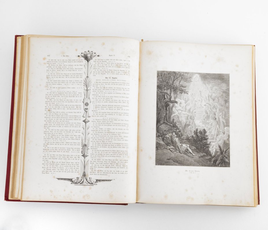 Два тома: Ветхий и Новый завет с иллюстрациями Доре (Die heilige schrift des alten und neuen testaments illustriert von Dore)