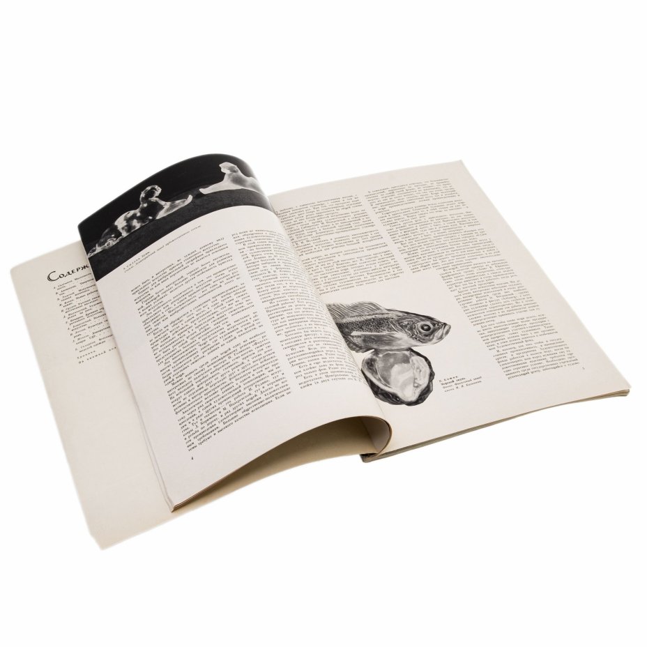 Журнал "Декоративное искусство СССР", выпуск №3, бумага, печать, СССР, 1958 г.