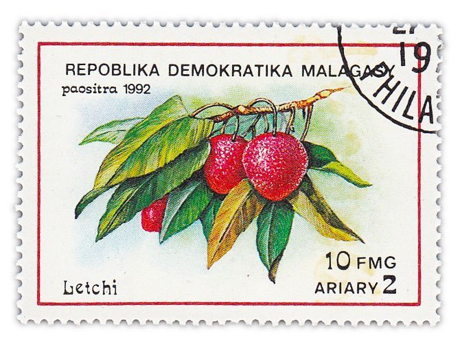 Мадагаскар (Малагасийская Республика) почтовая марка 1992 "Фрукты. Личи"