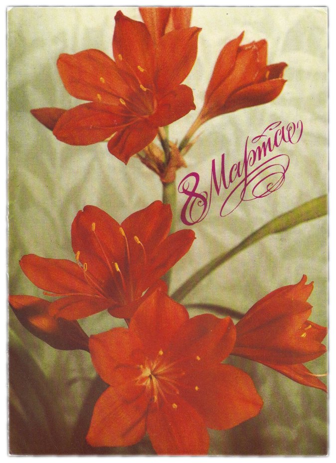 Открытка (открытое письмо) "8 марта" худ. Геодакова 1988