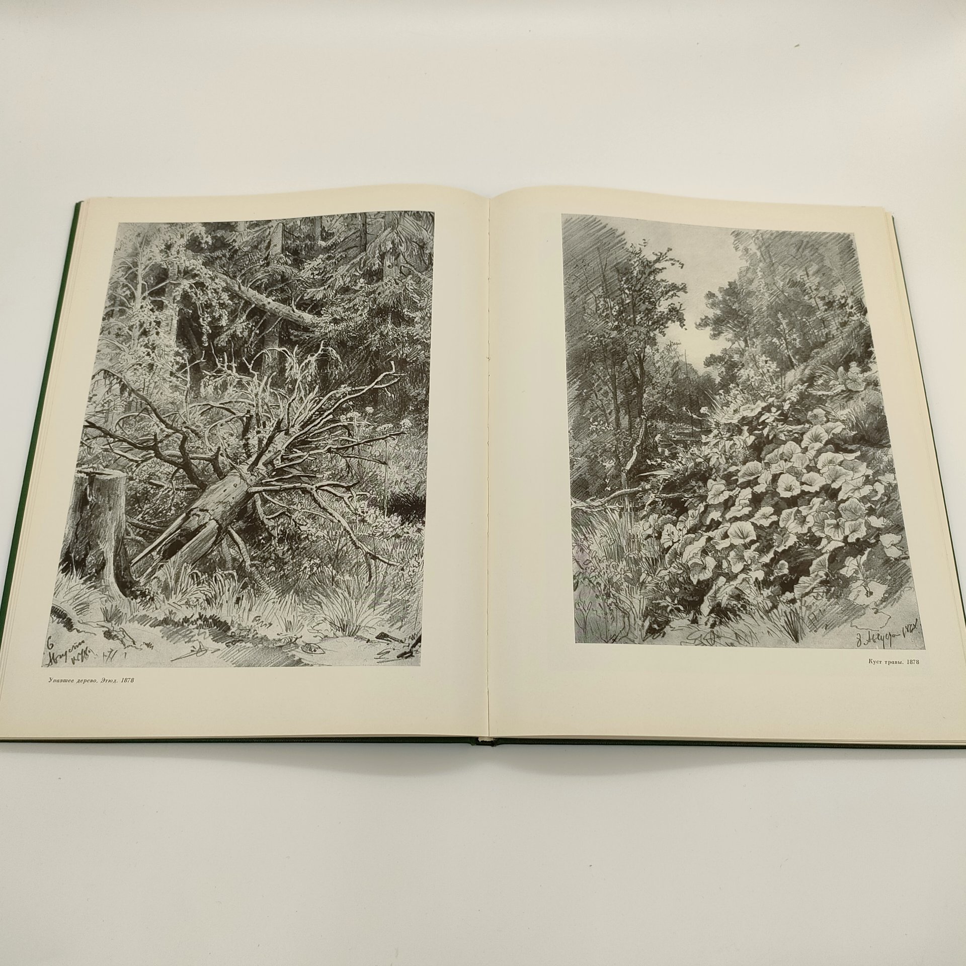 Альбом "Рисунки Шишкина", текст А.Н. Савинов, бумага, печать, Издательство Академии художеств СССР, СССР, 1960 г.