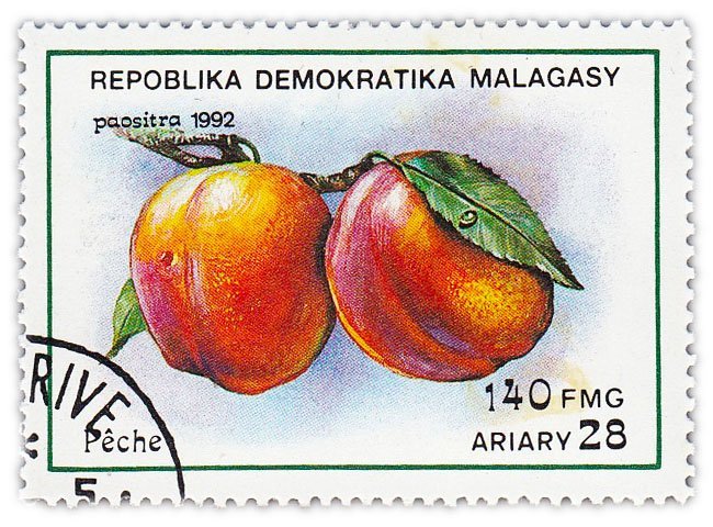 Мадагаскар (Малагасийская Республика) почтовая марка 1992 "Фрукты. Апельсины"
