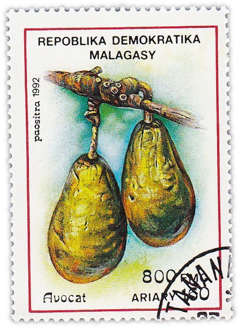 Мадагаскар (Малагасийская Республика) почтовая марка 1992 "Фрукты"