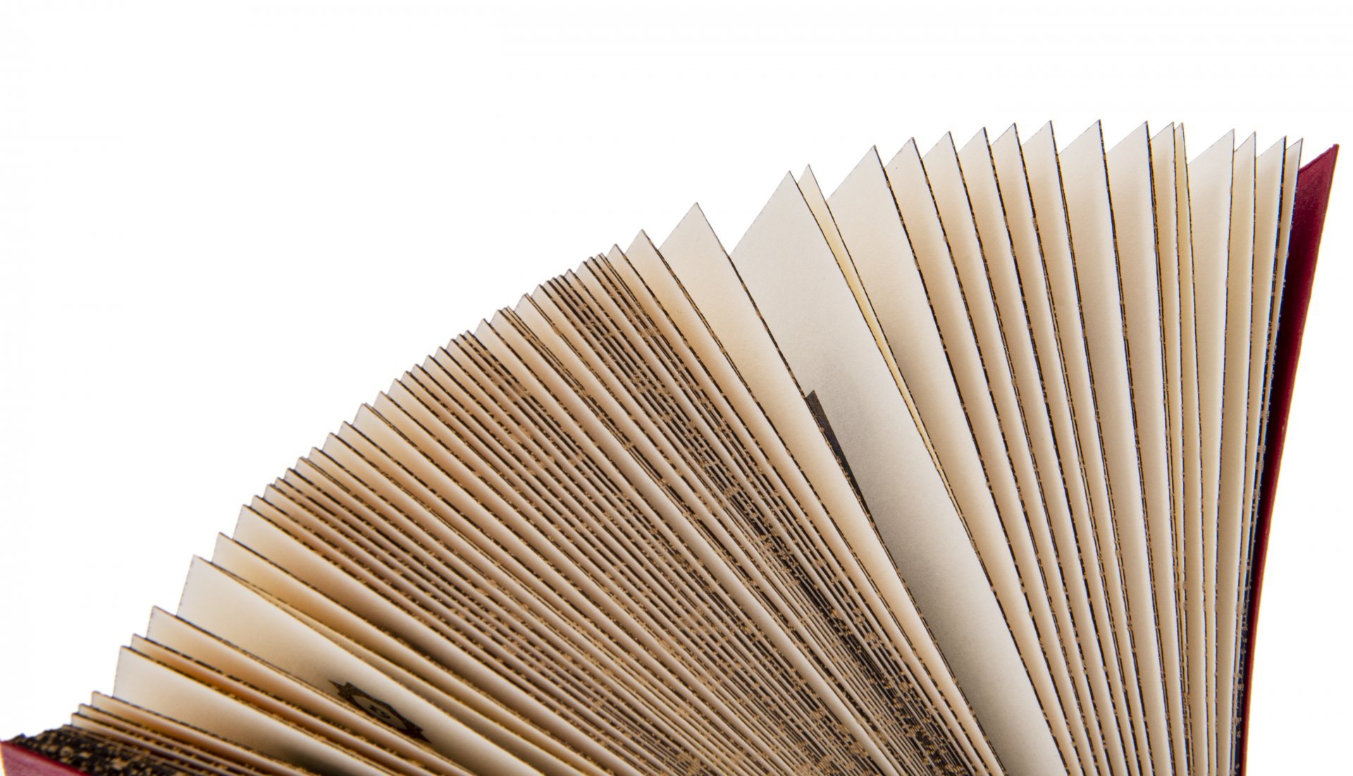 Омар Хайям "Рубаи" подарочное издание, издательство "СЗКЭО", авторская ручная работа, кожа, бумага, Российская Федерация, 2025 г.