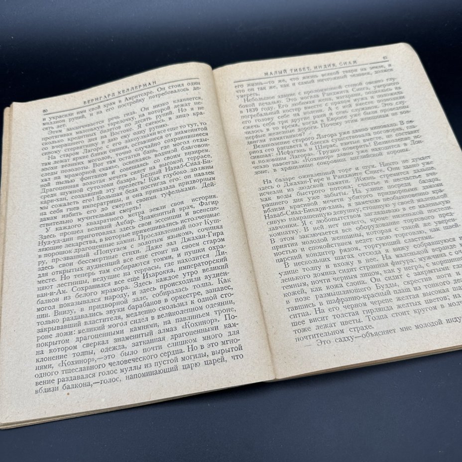 Книга "Малый Тибет, Индия, Сиам. Собрание сочинений", Бернгард Кемерман, "Земля и Фабрика"