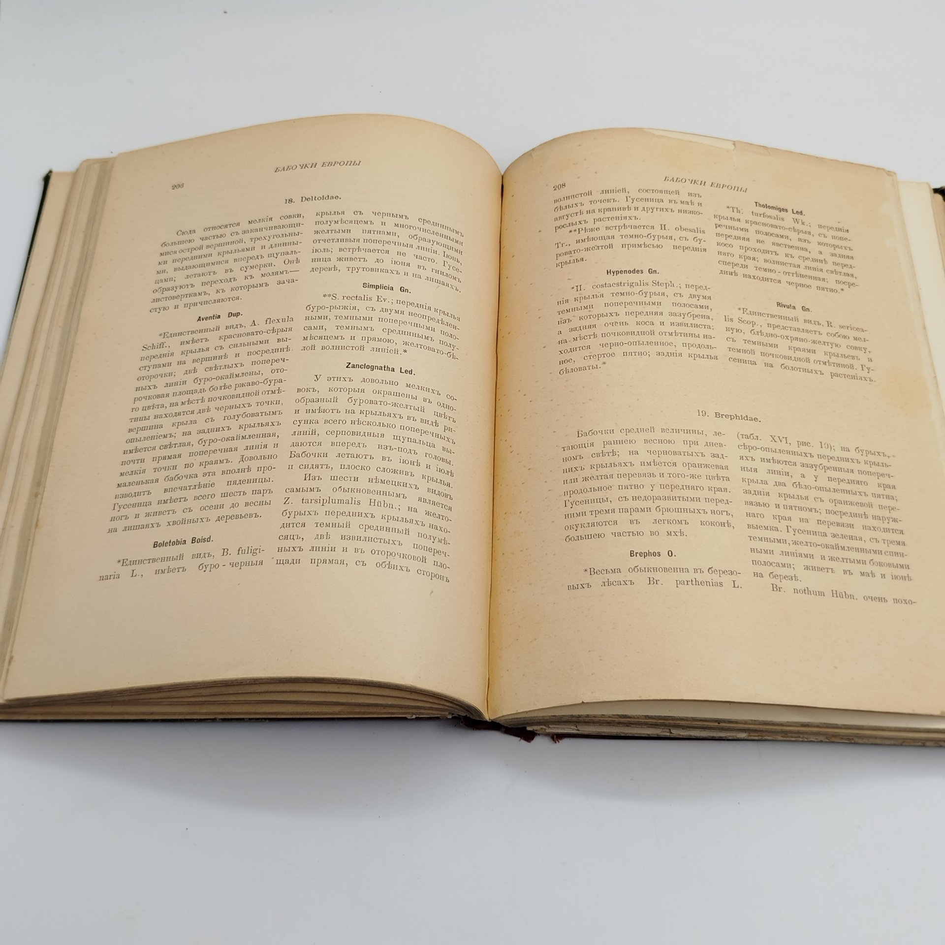 Книга, "Бабочки Европы", Борециус Д., Издательство «Товарищество М.О. Вольф»
