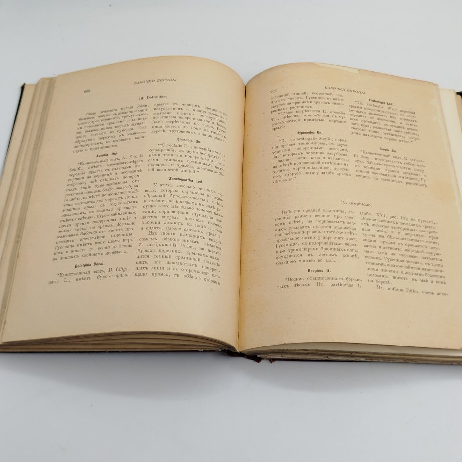 Книга, "Бабочки Европы", Борециус Д., Издательство «Товарищество М.О. Вольф»