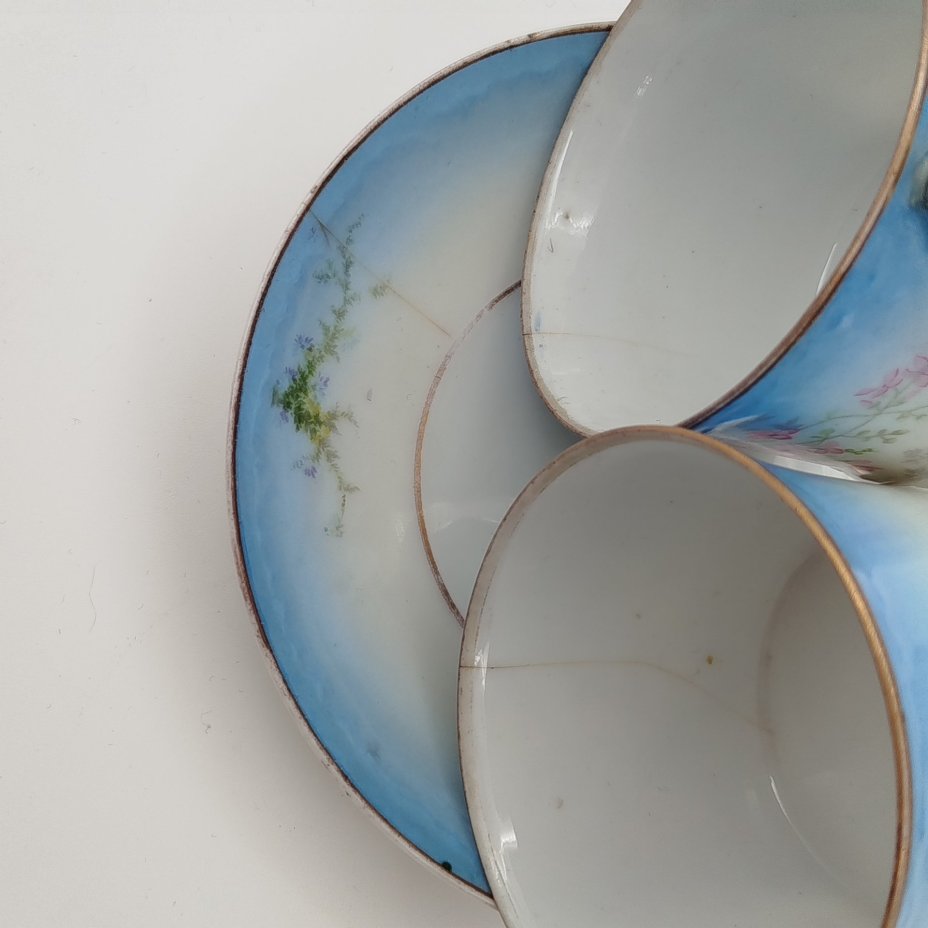 Набор из 2 чайных пар с декором из полевых цветов, фарфор, крытье, деколь, золочение, Российская империя, 1880-1910 гг.