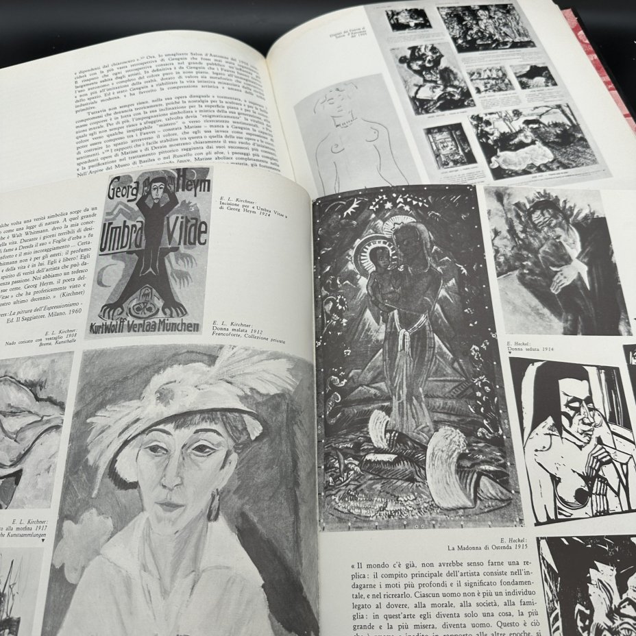 Набор из 2-х книг "L'arte moderna. L'espressionismo e il fauvismo"