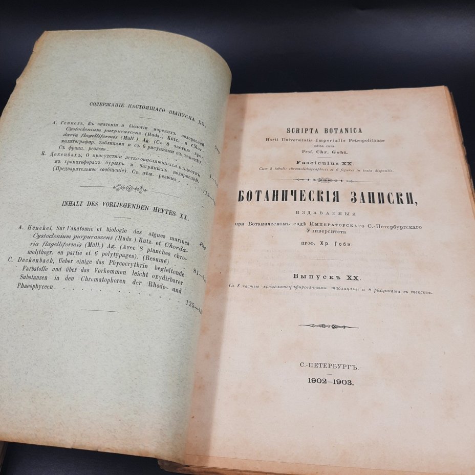 Бекетов А.Н., Гоби Хр. "Ботанические записки, издаваемые при Ботаническом саде Императорского Санкт-Петербургского университета", выпуск 20