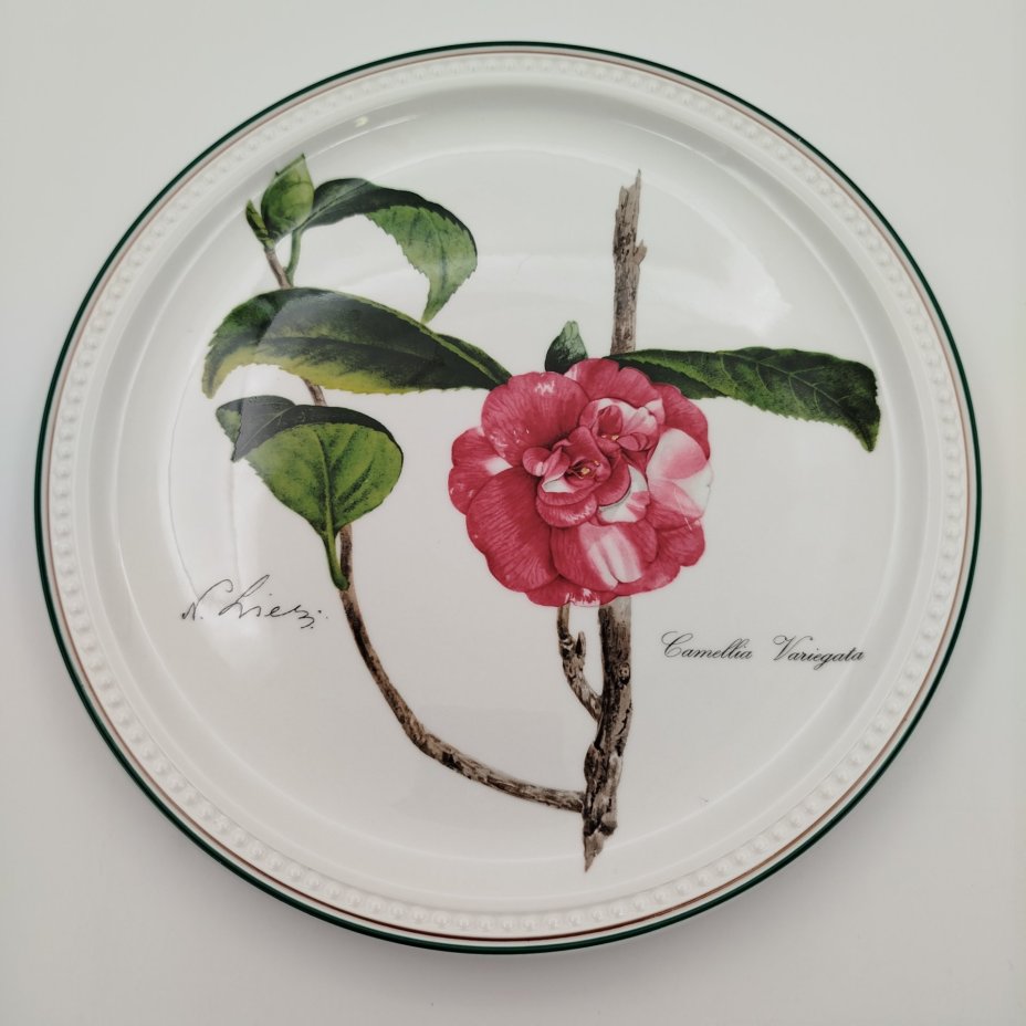 Тарелка декоративная (подвесная) с изображением "Camellia Variegata" из серии "Камелии", автор Nicolas Liex (Никола Лие), фарфор, деколь, Villeroy & Boch, Люксембург, 1998 г., Villeroy & Boch