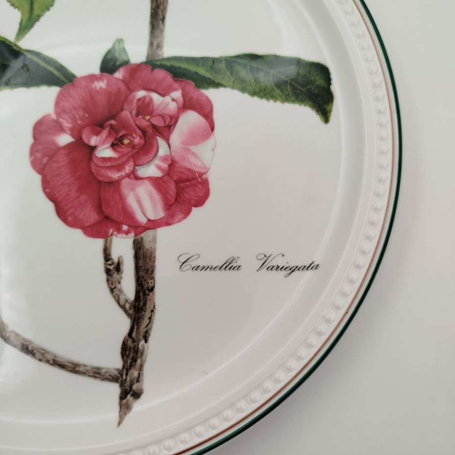 Тарелка декоративная (подвесная) с изображением "Camellia Variegata" из серии "Камелии", автор Nicolas Liex (Никола Лие), фарфор, деколь, Villeroy & Boch, Люксембург, 1998 г., Villeroy & Boch