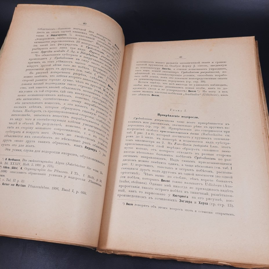 Бекетов А.Н., Гоби Хр. "Ботанические записки, издаваемые при Ботаническом саде Императорского Санкт-Петербургского университета", выпуск 20
