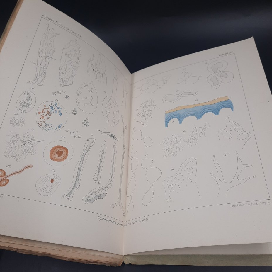 Бекетов А.Н., Гоби Хр. "Ботанические записки, издаваемые при Ботаническом саде Императорского Санкт-Петербургского университета", выпуск 20