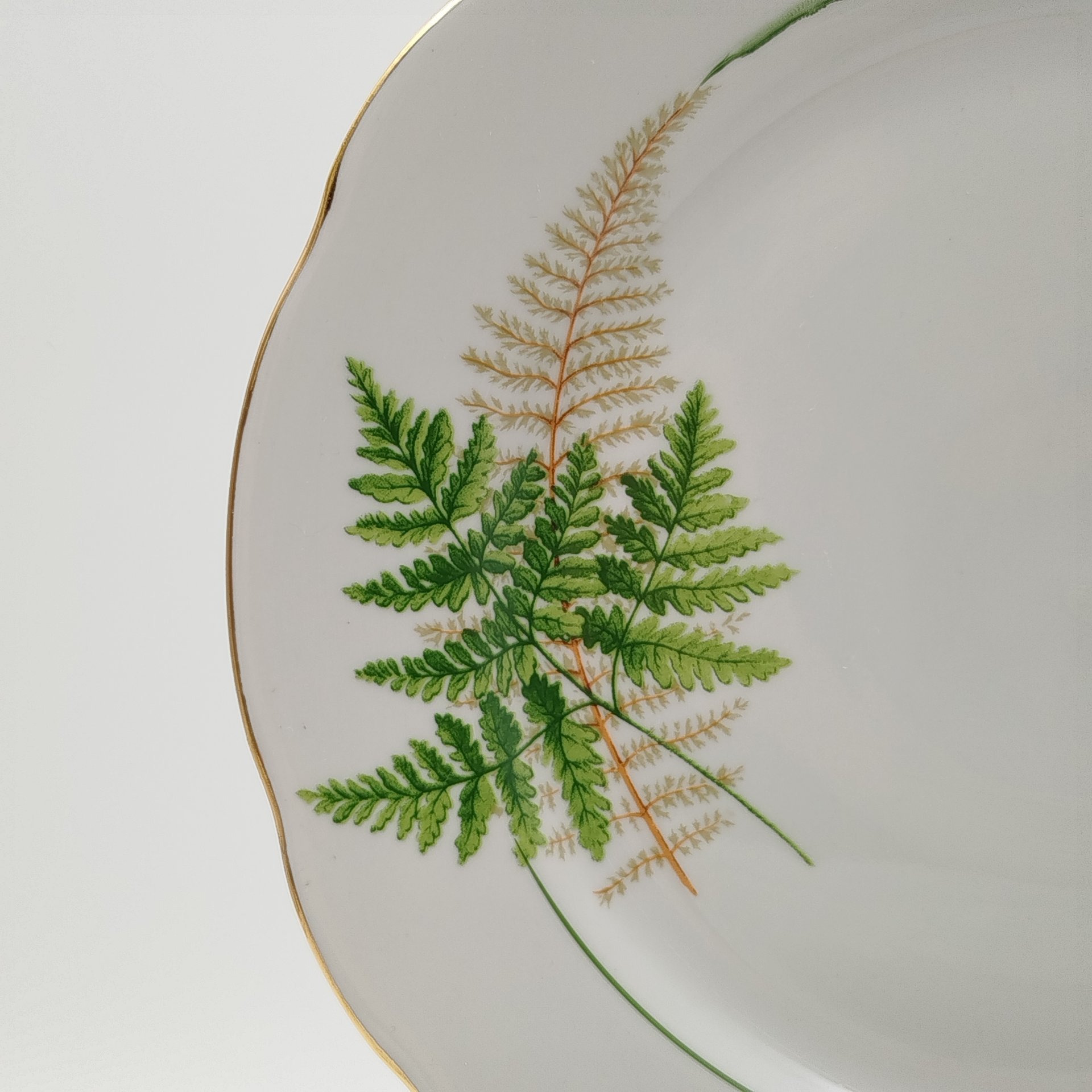 Набор из блюда и пяти обеденных тарелок "Папоротники", фасон "Гранёный", фарфор, деколь, золочение, Дулевский фарфоровый завод (Дулёво), Россия, 2006 г.