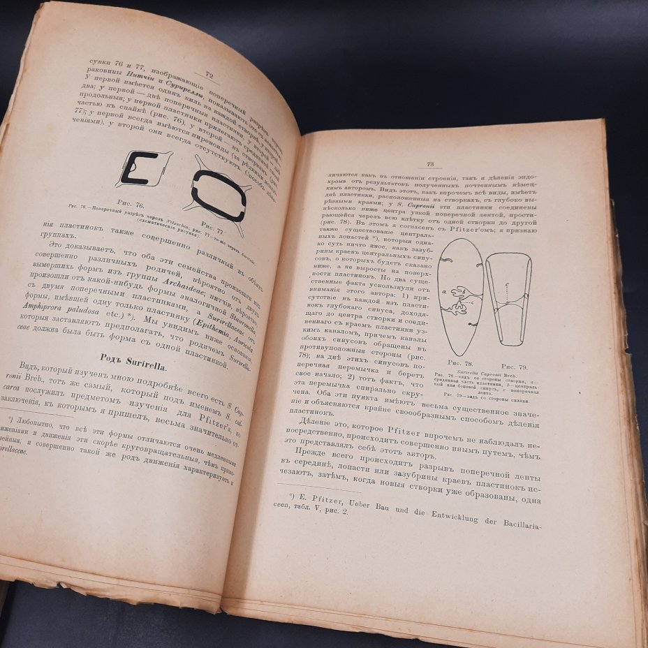 Бекетов А.Н., Гоби Хр. "Ботанические записки, издаваемые при Ботаническом саде Императорского Санкт-Петербургского университета", выпуск 21