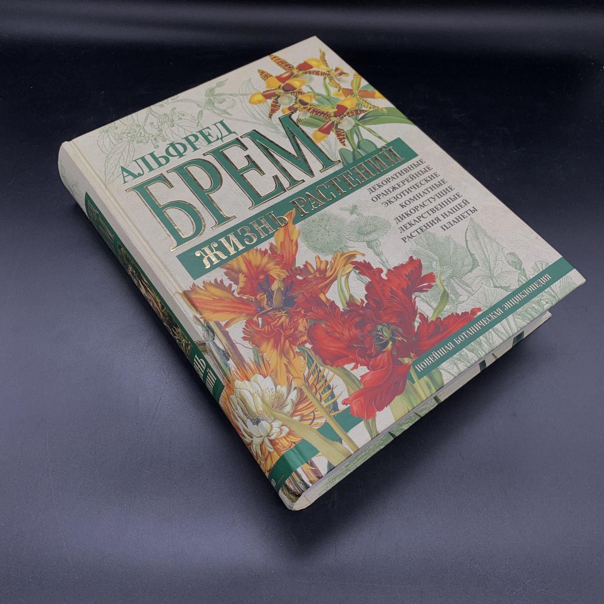 Набор из 2-х книг, энциклопедии  "Жизнь растений", Брем А; "Жизнь насекомых", Жан Анри Фабр, бумага, печать, Издательство «Эксмо», Российская Федерация, 2004-2005 гг., Издательство «Эксмо»