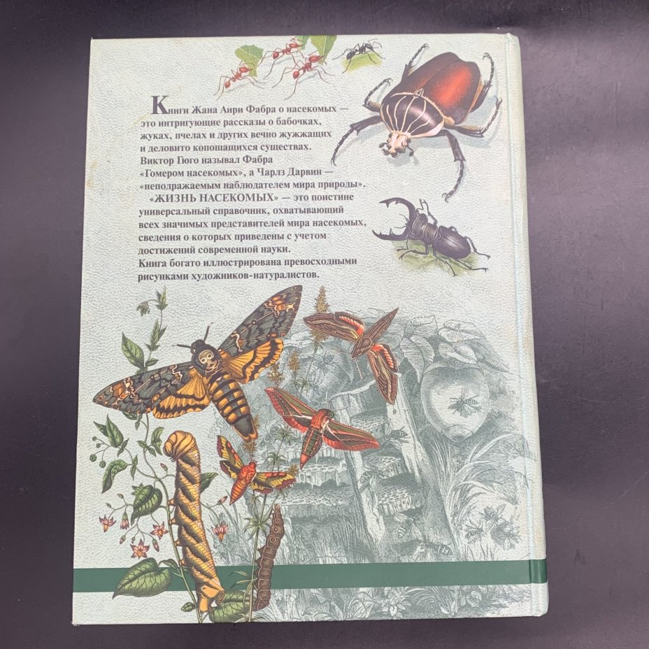 Набор из 2-х книг, энциклопедии  "Жизнь растений", Брем А; "Жизнь насекомых", Жан Анри Фабр, бумага, печать, Издательство «Эксмо», Российская Федерация, 2004-2005 гг., Издательство «Эксмо»