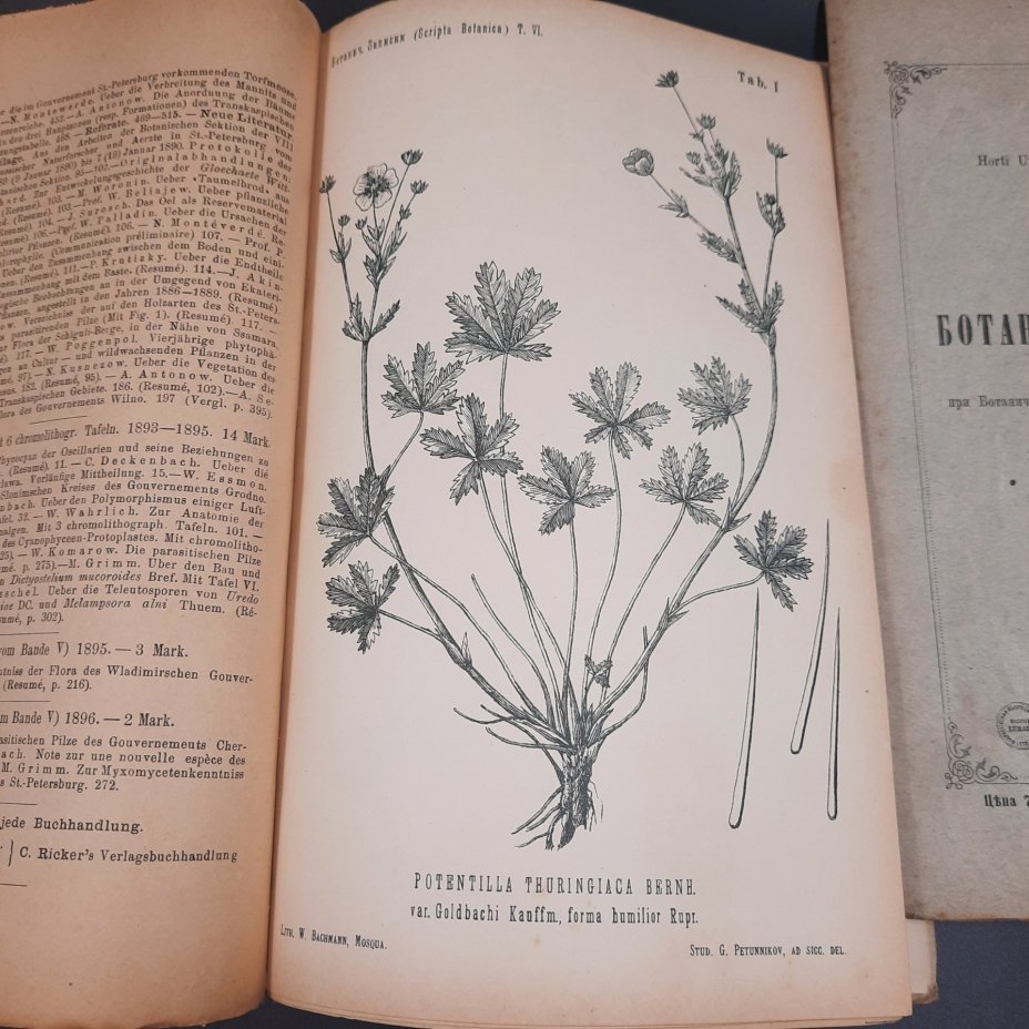 Бекетов А.Н., Гоби Хр. "Ботанические записки, издаваемые при Ботаническом саде Императорского Санкт-Петербургского университета", выпуски 12 и 13 томов V и VI