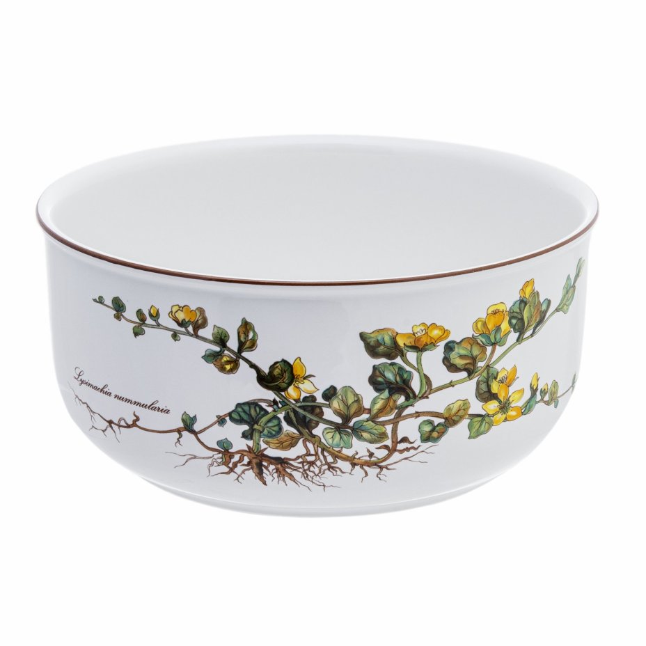 Салатник с изображением цветка вербейника из серии "Botanica", Villeroy & Boch