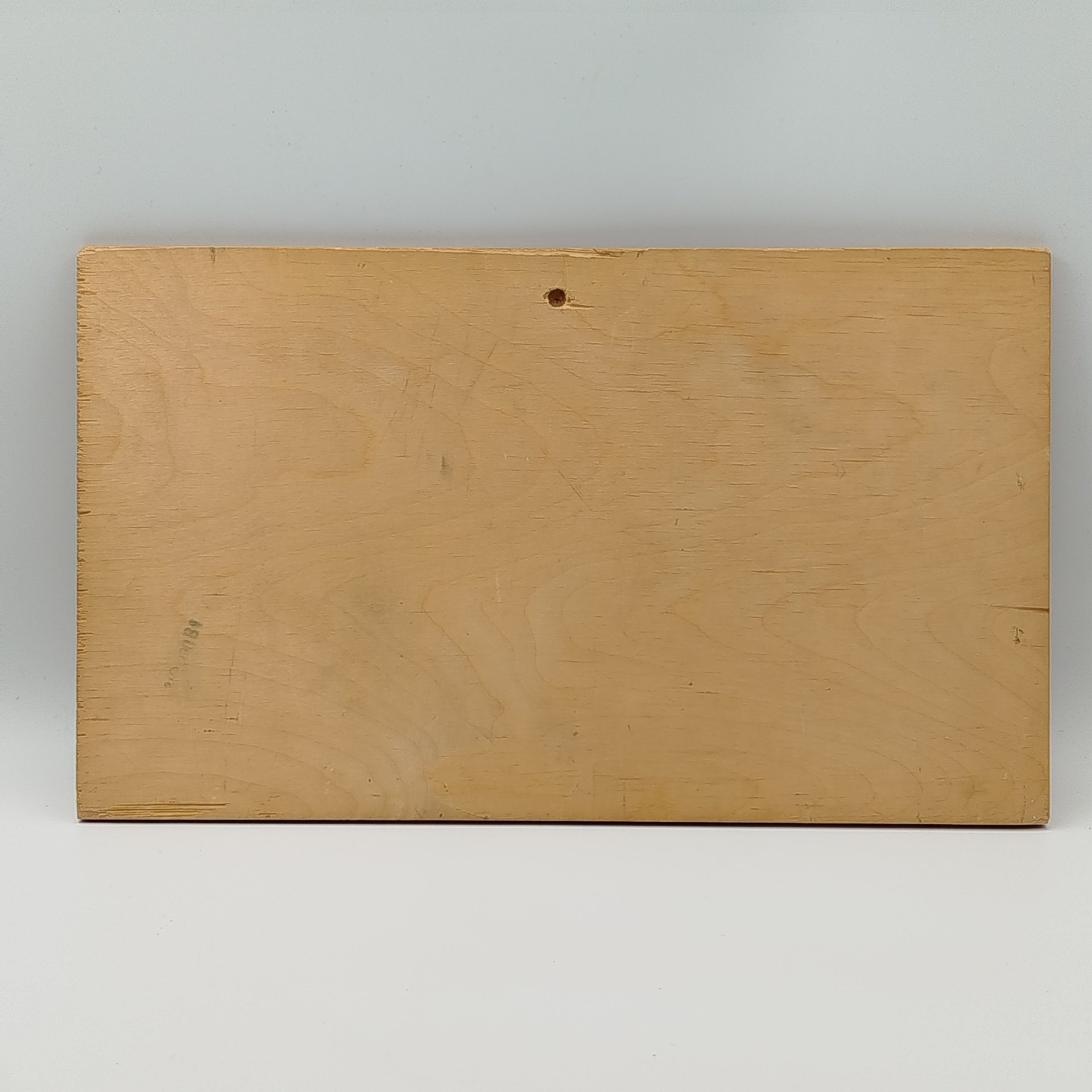 Панно настенное "Leipzig Altes Rathaus" ("Старая ратуша в Лейпциге)