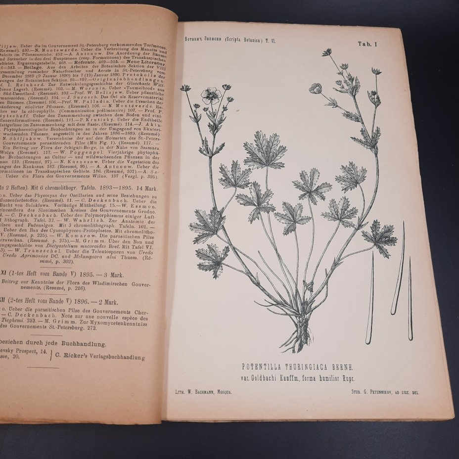 Бекетов А.Н., Гоби Хр. "Ботанические записки, издаваемые при Ботаническом саде Императорского Санкт-Петербургского университета", выпуски 12 и 13 томов V и VI