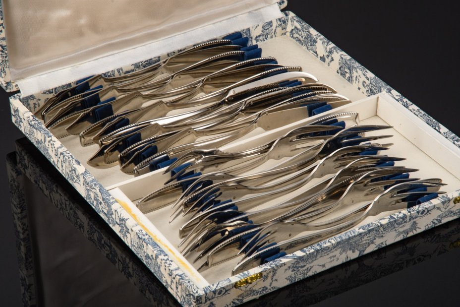 Набор из 12-ти вилок и ножей для рыбы в коробке