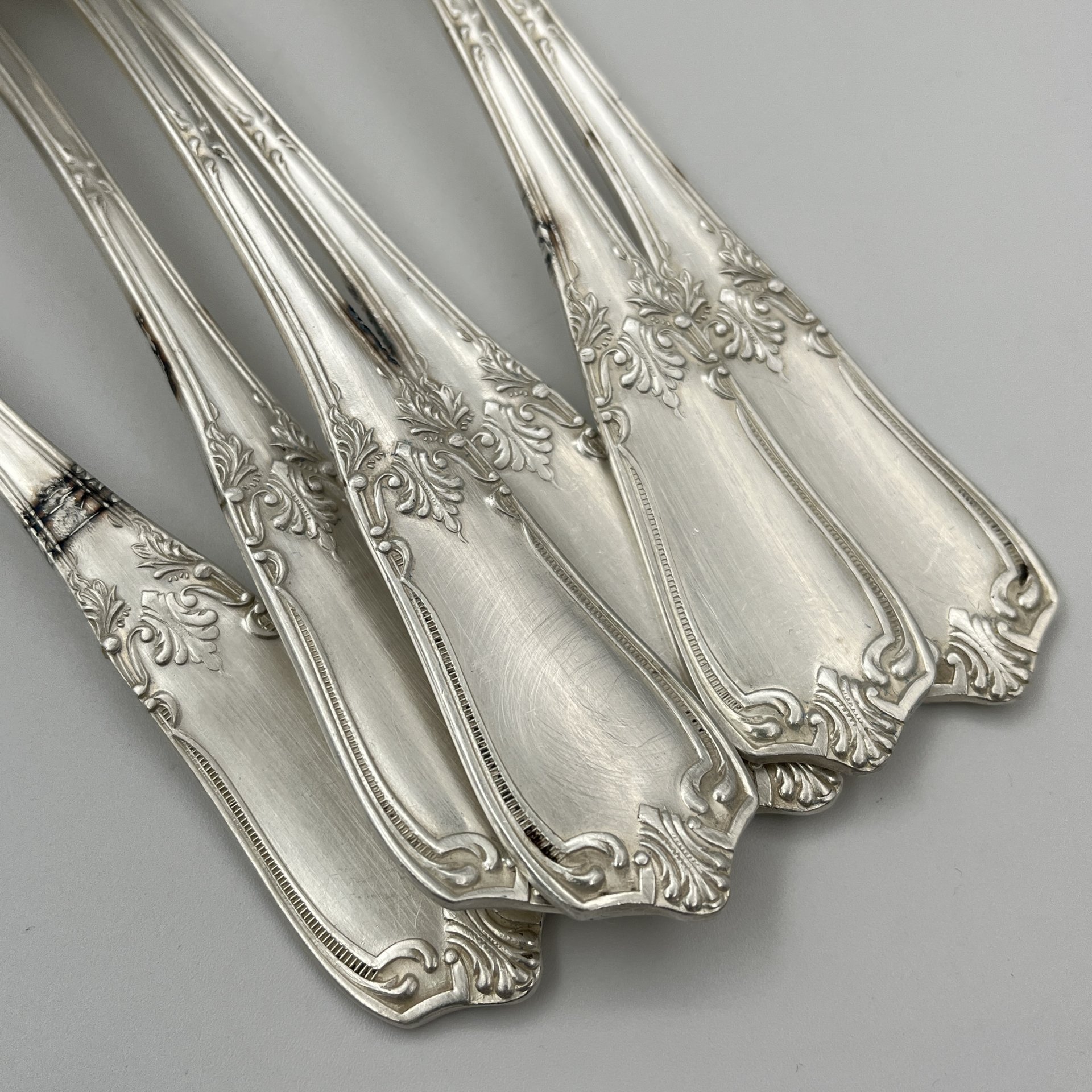 Набор из шести столовых ложек с растительным декором