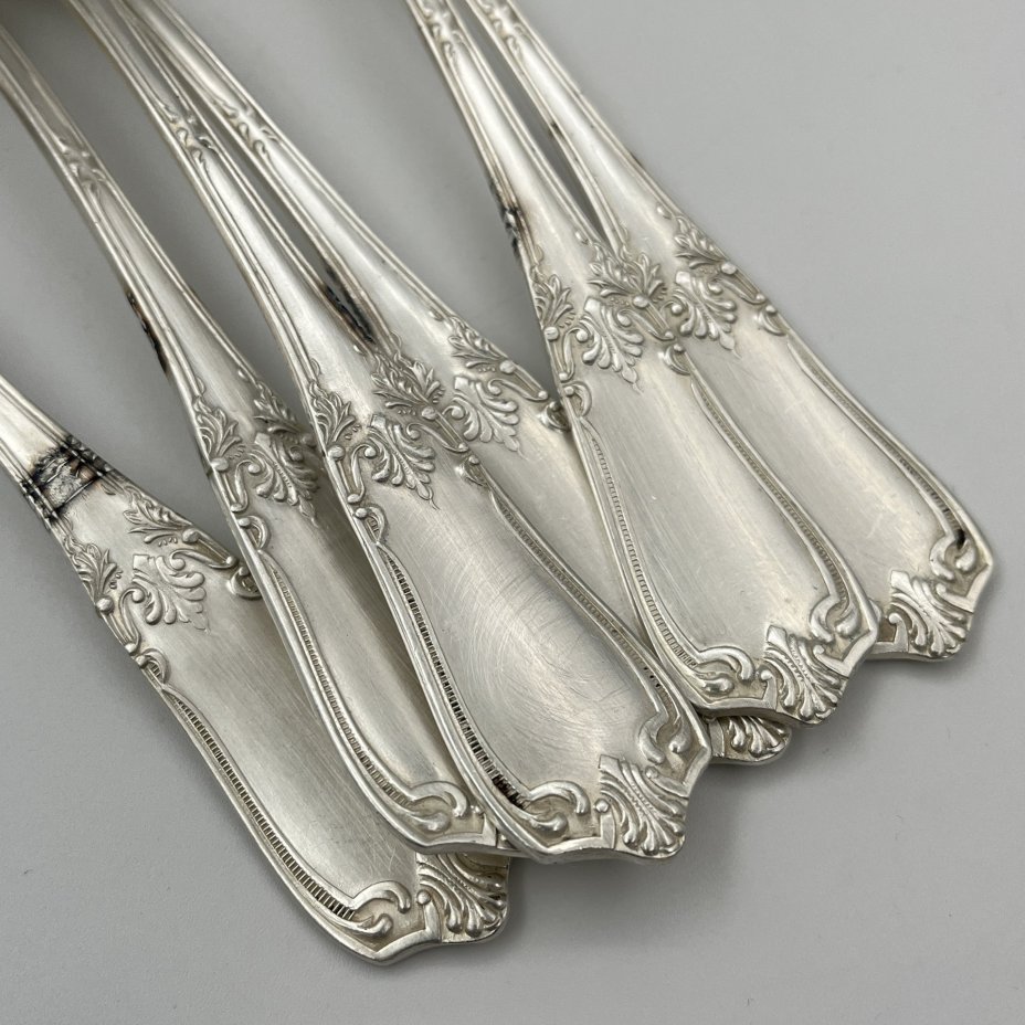 Набор из шести столовых ложек с растительным декором