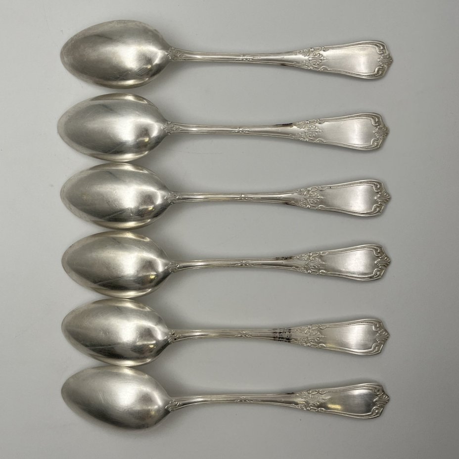 Набор из шести столовых ложек с растительным декором