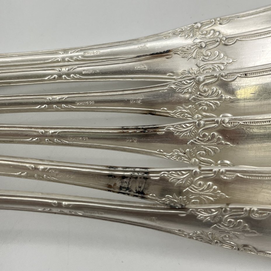 Набор из шести столовых ложек с растительным декором