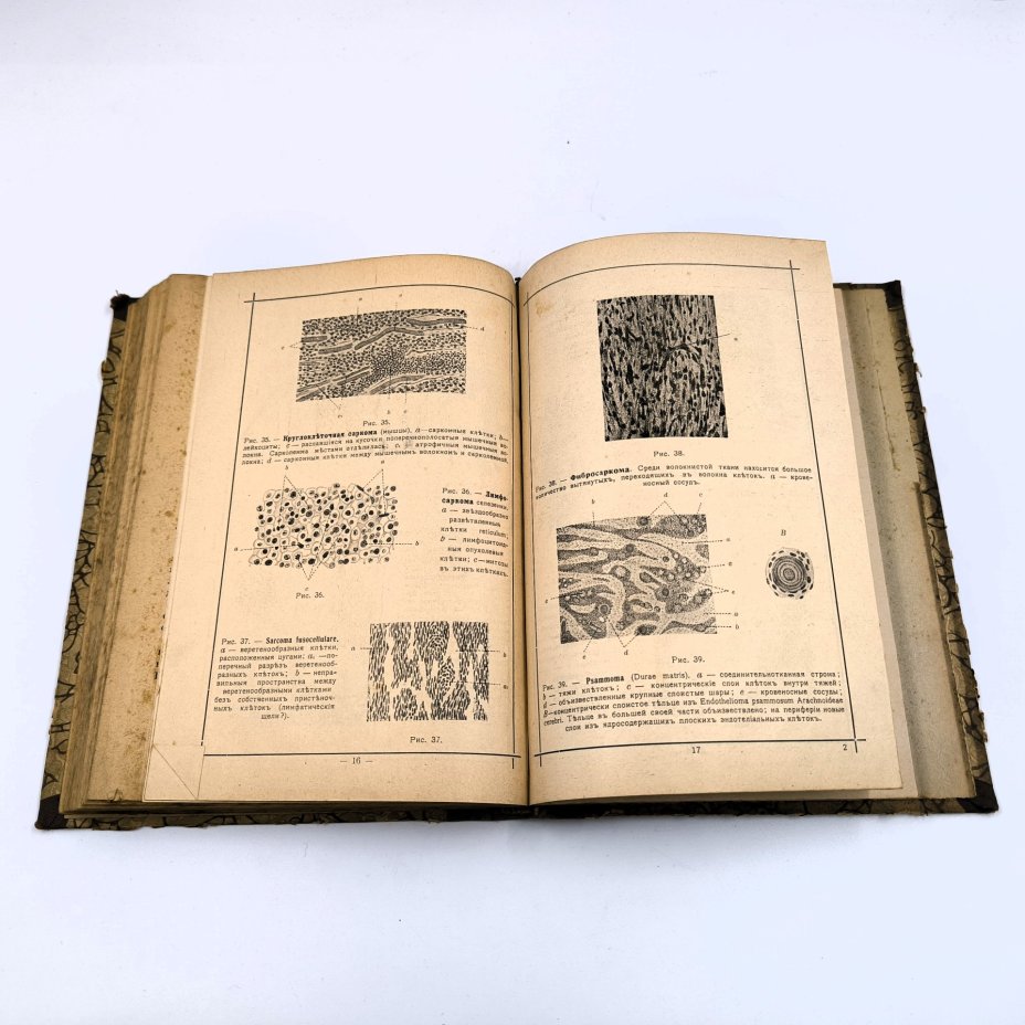 Исаев С. Краткое руководство по патологической анатомии (общей и частной), бумага, печать