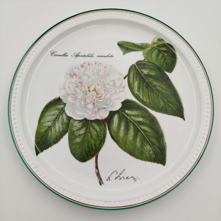 Тарелка декоративная (подвесная) с изображением "Camellia Apertabilis maculata" из серии "Камелии", автор Nicolas Liex (Никола Лие), фарфор, деколь, Villeroy & Boch, Люксембург, 1993 г., Villeroy & Boch