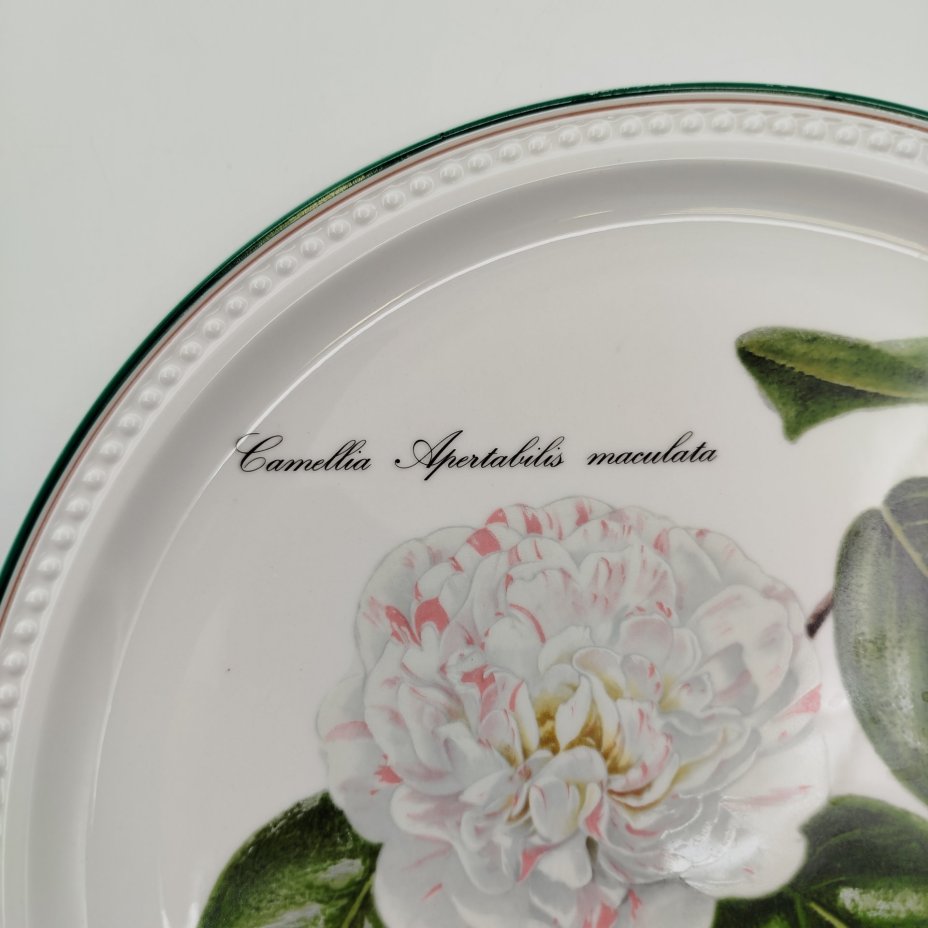 Тарелка декоративная (подвесная) с изображением "Camellia Apertabilis maculata" из серии "Камелии", автор Nicolas Liex (Никола Лие), фарфор, деколь, Villeroy & Boch, Люксембург, 1993 г., Villeroy & Boch