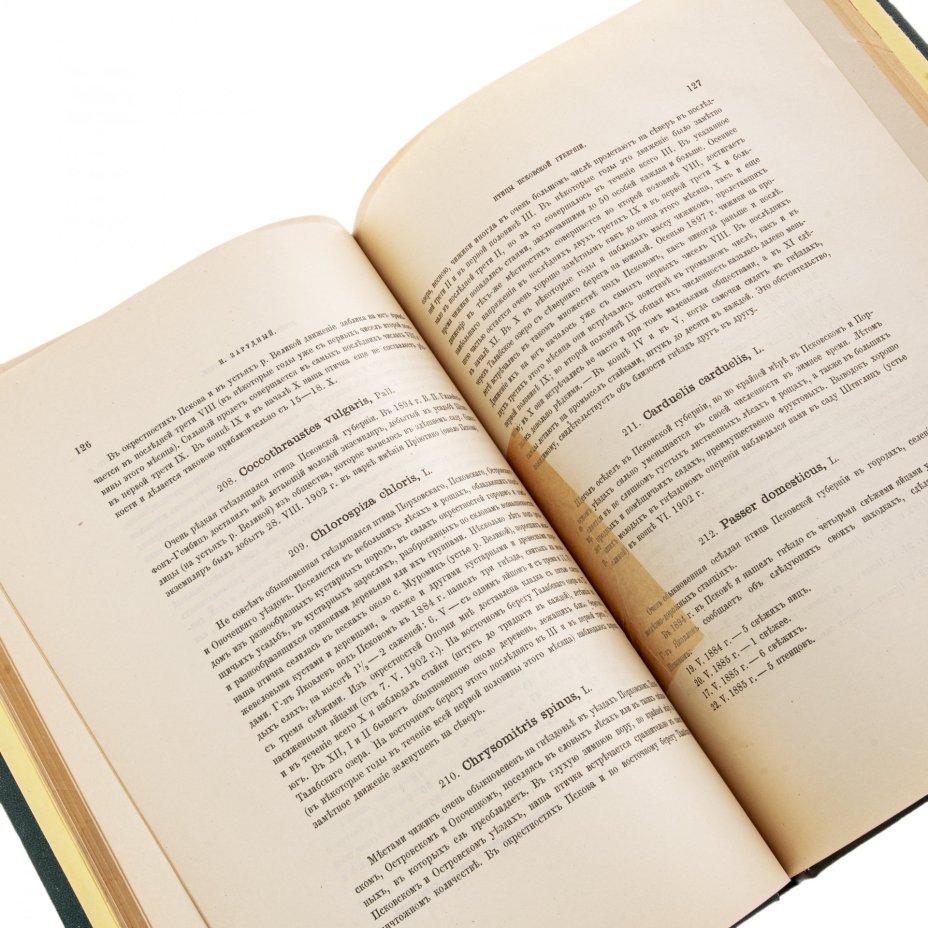 Зарудный Н., "Птицы Псковской губернии", бумага, печать, Российская империя, 1910 г.