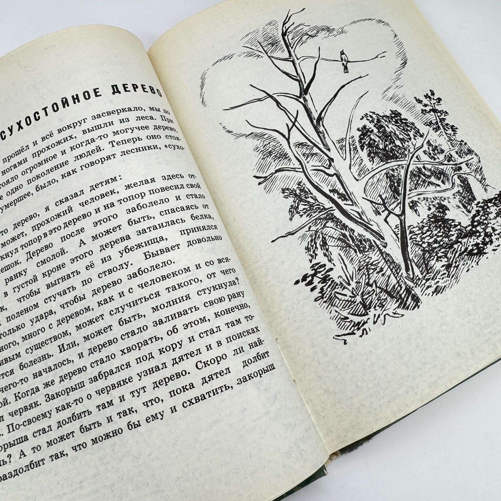 Книга "Разговор деревьев" М. Пришвин, изд-во "Малыш"