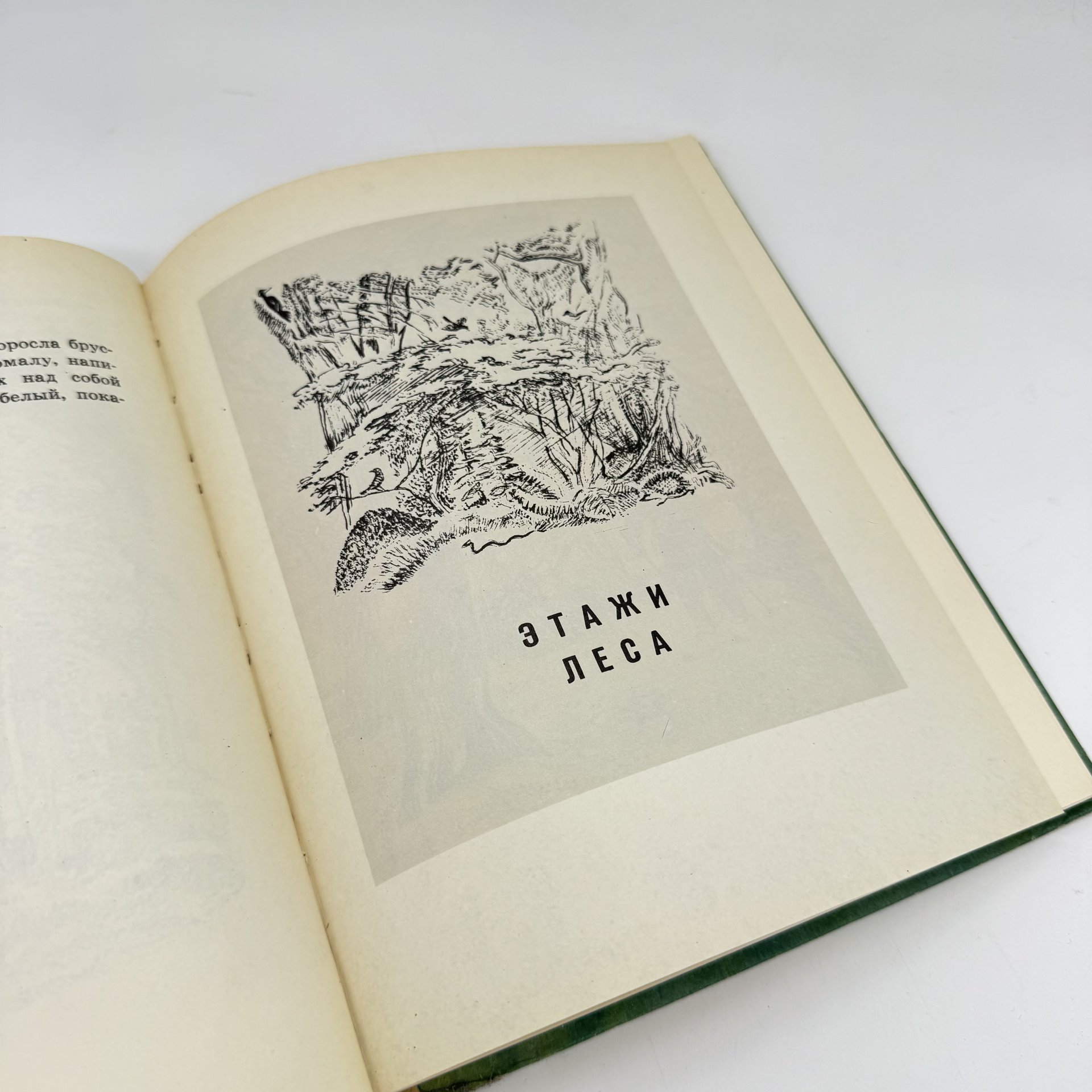 Книга "Разговор деревьев" М. Пришвин, изд-во "Малыш"