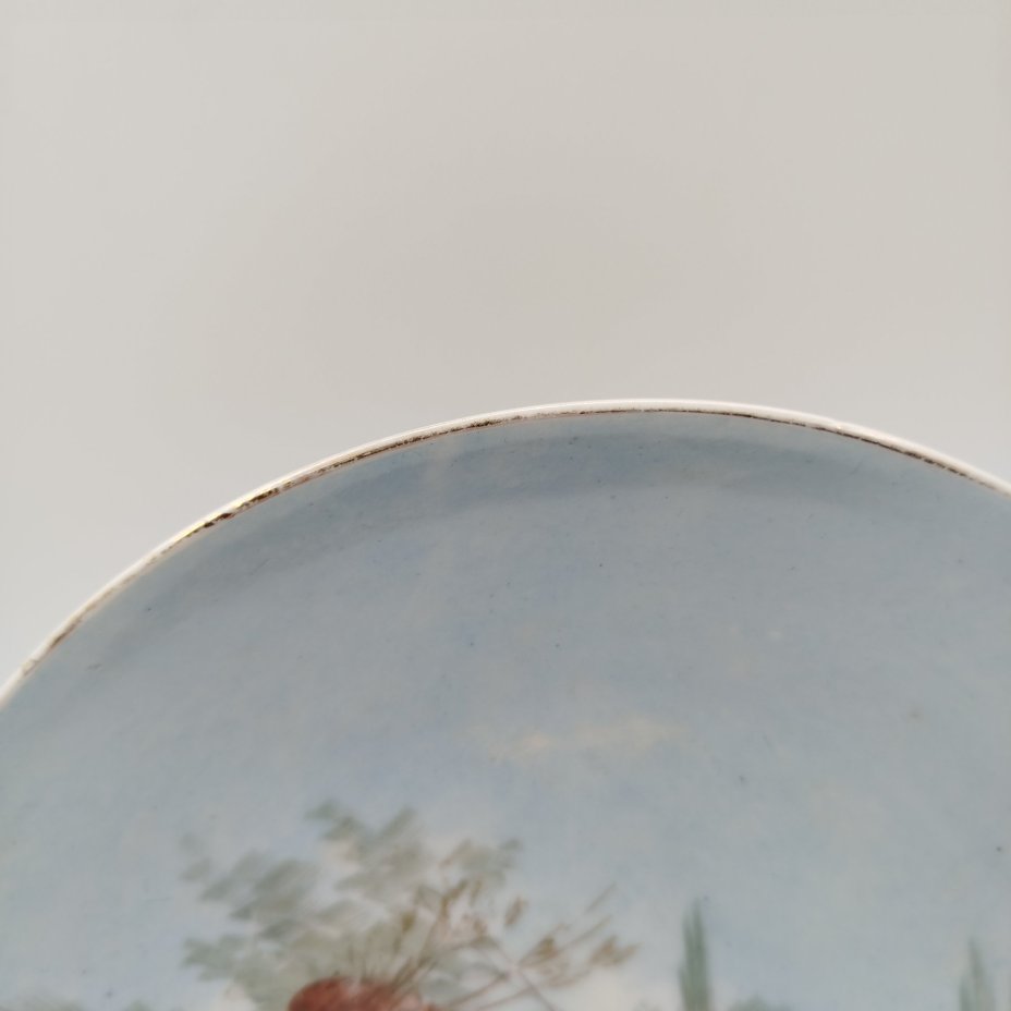 Тарелка настенная декоративная "Дети на природе"