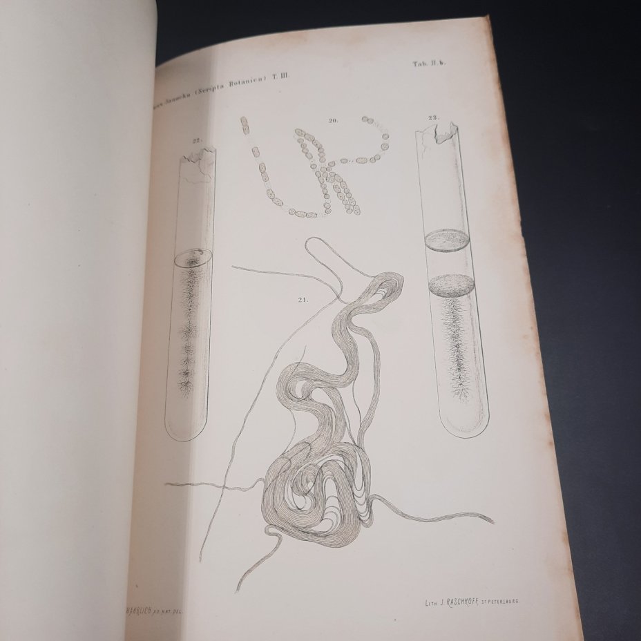 Бекетов А.Н., Гоби Хр. "Ботанические записки, издаваемые при Ботаническом саде Императорского Санкт-Петербургского университета", том III, выпуск 2