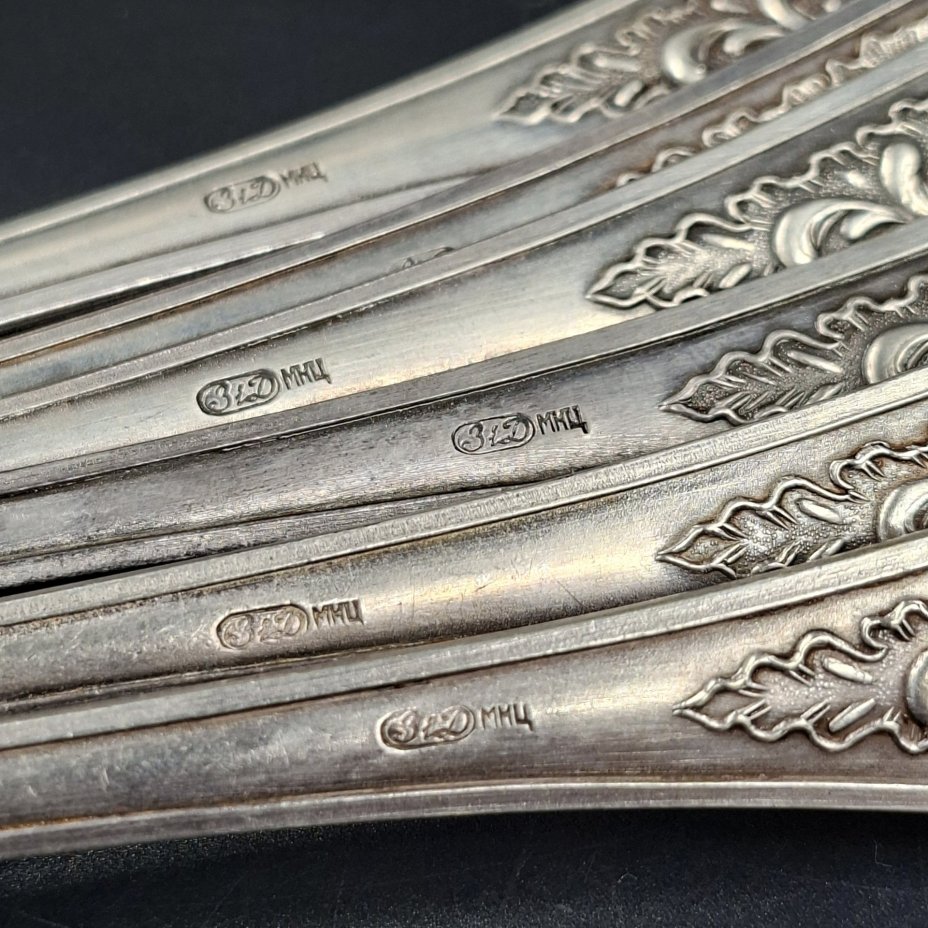 Набор из шести обеденных ложек с растительным декором, мНЦ (медь-никель-цинк), Киевский завод столовых приборов и посуды им. Дзержинского (ЗiД, ЗиД), СССР, 1970-1990 гг.