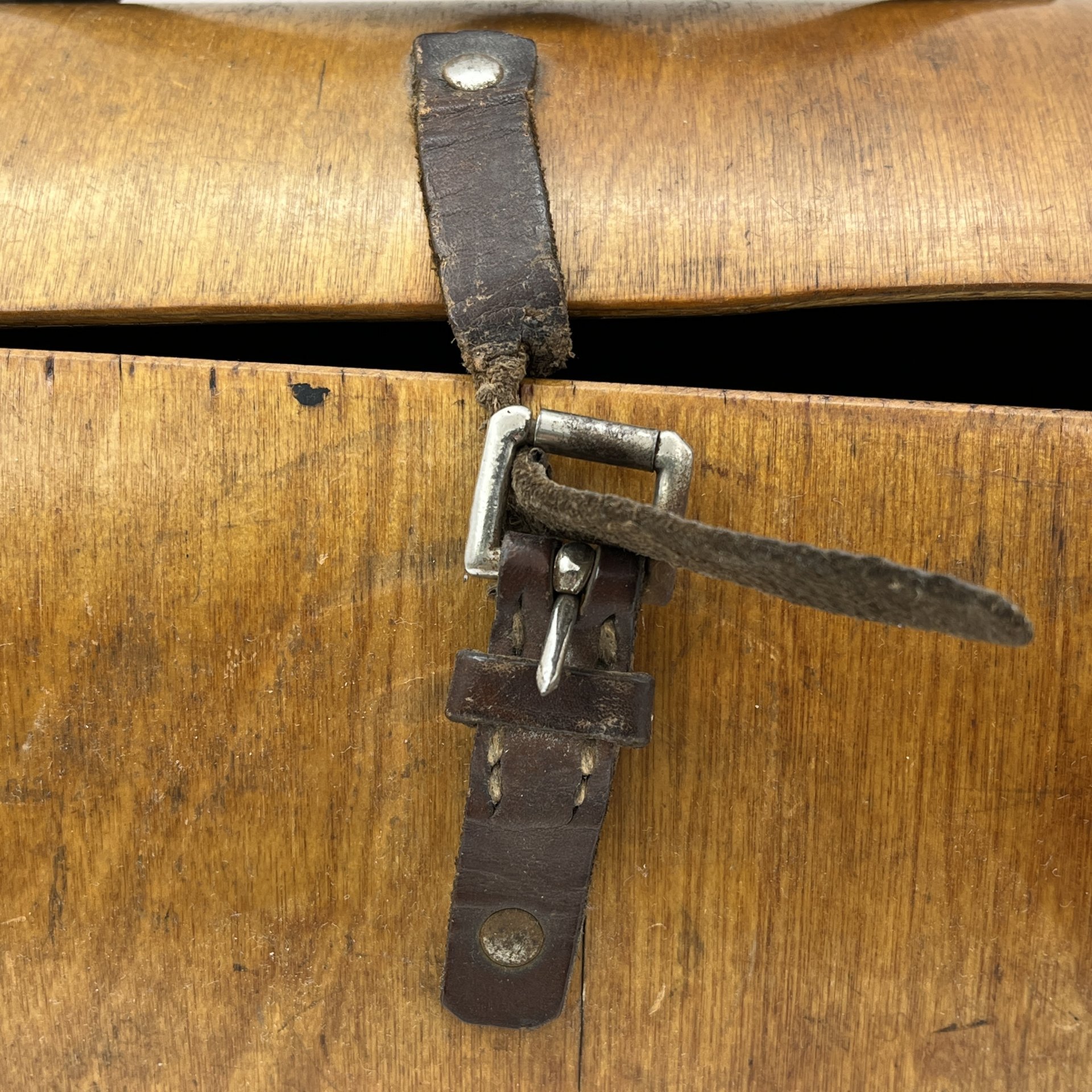 Ботанизирка (коробка для сбора и хранения растений во время ботанических экскурсий)